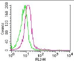 Monoclonal Antibody to CD24 (Clone: ML1)